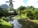 Gardens: Found these lovely gardens on our drive around Tahiti